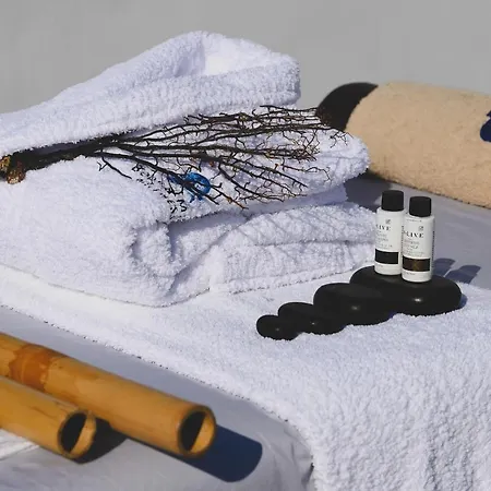 Apartmanhotel Santolia Art