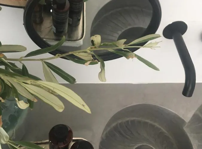 Aparthotel Santolia Art Oia (Santorini)