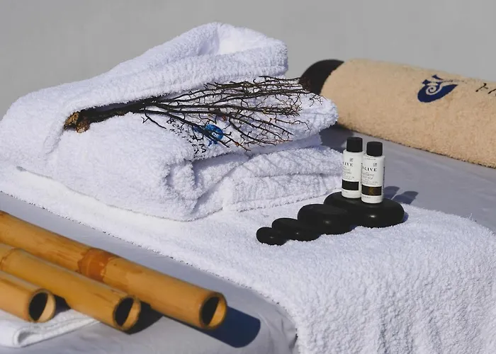 Appart hôtel Santolia Art